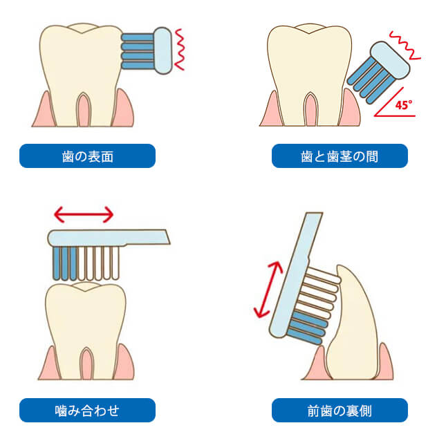 歯の磨き方