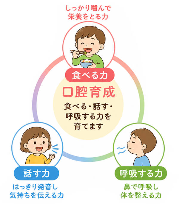 口腔育成とは